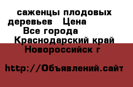 саженцы плодовых деревьев › Цена ­ 6 080 - Все города  »    . Краснодарский край,Новороссийск г.